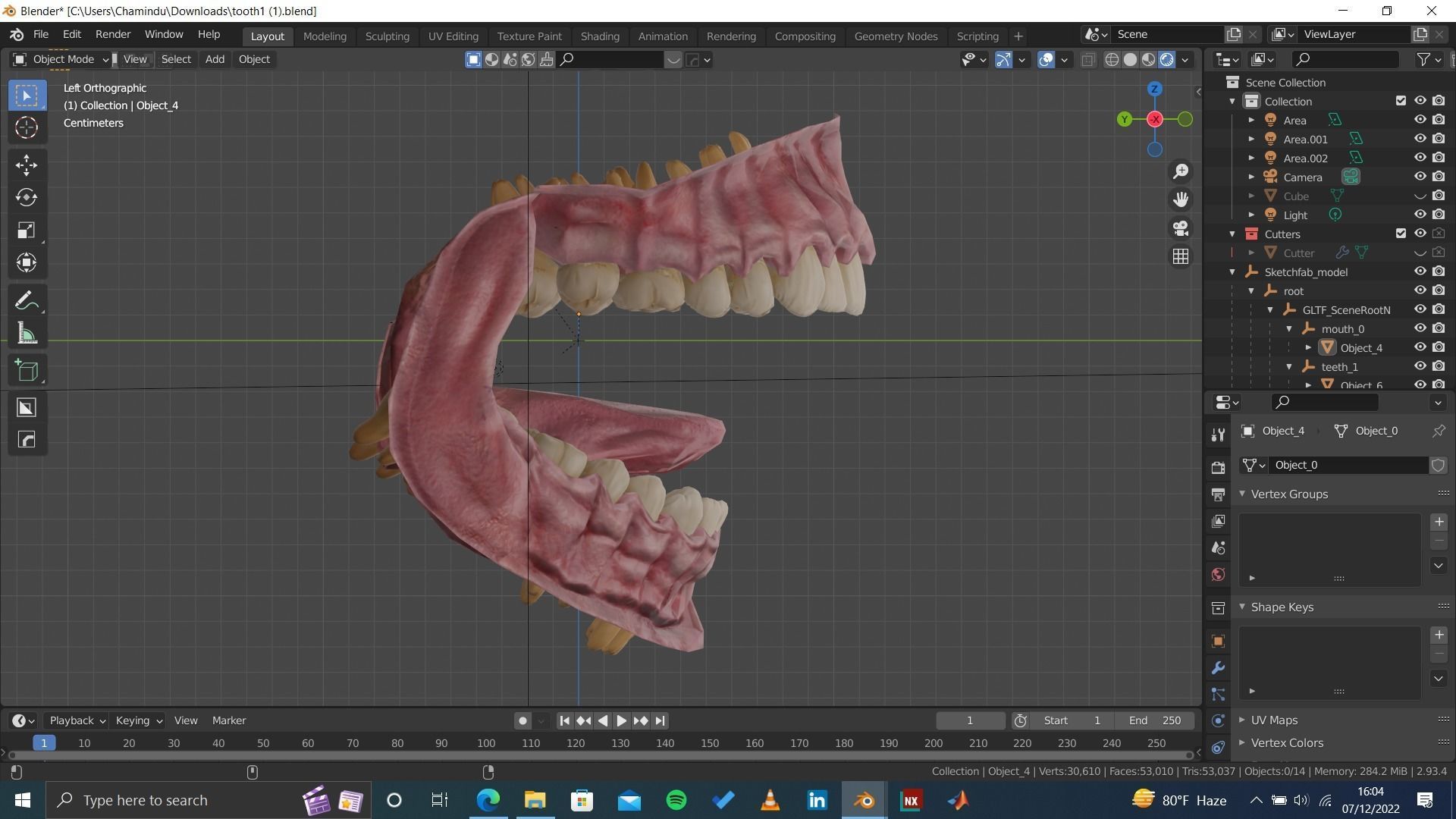 Highly Detailed Human Tooth 3D Model 3D model_4