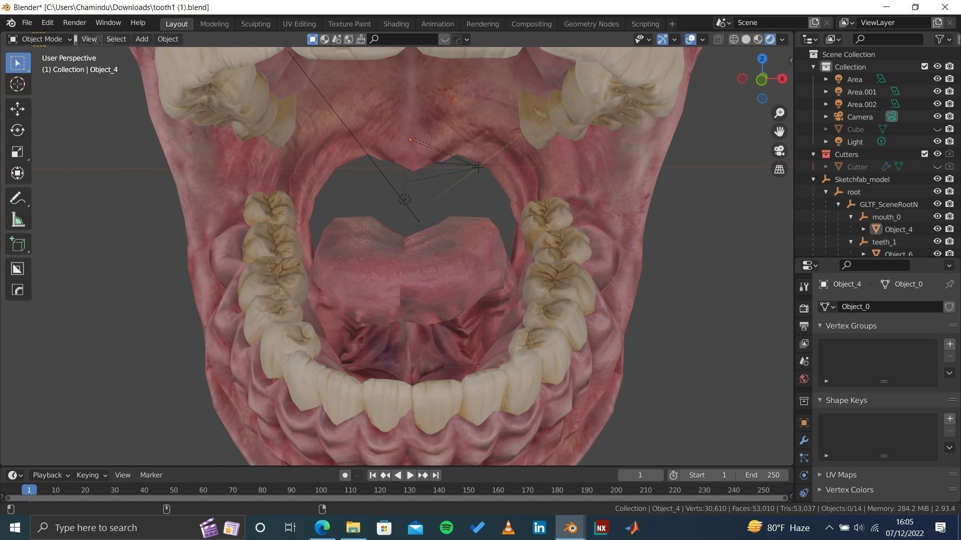 Highly Detailed Human Tooth 3D Model 3D model_6
