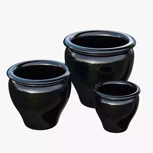 Large Glazed Black brown Tree Planter