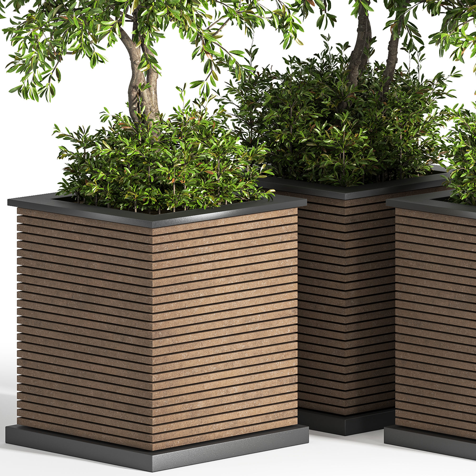 Outdoor Plants tree 10 3D model_4