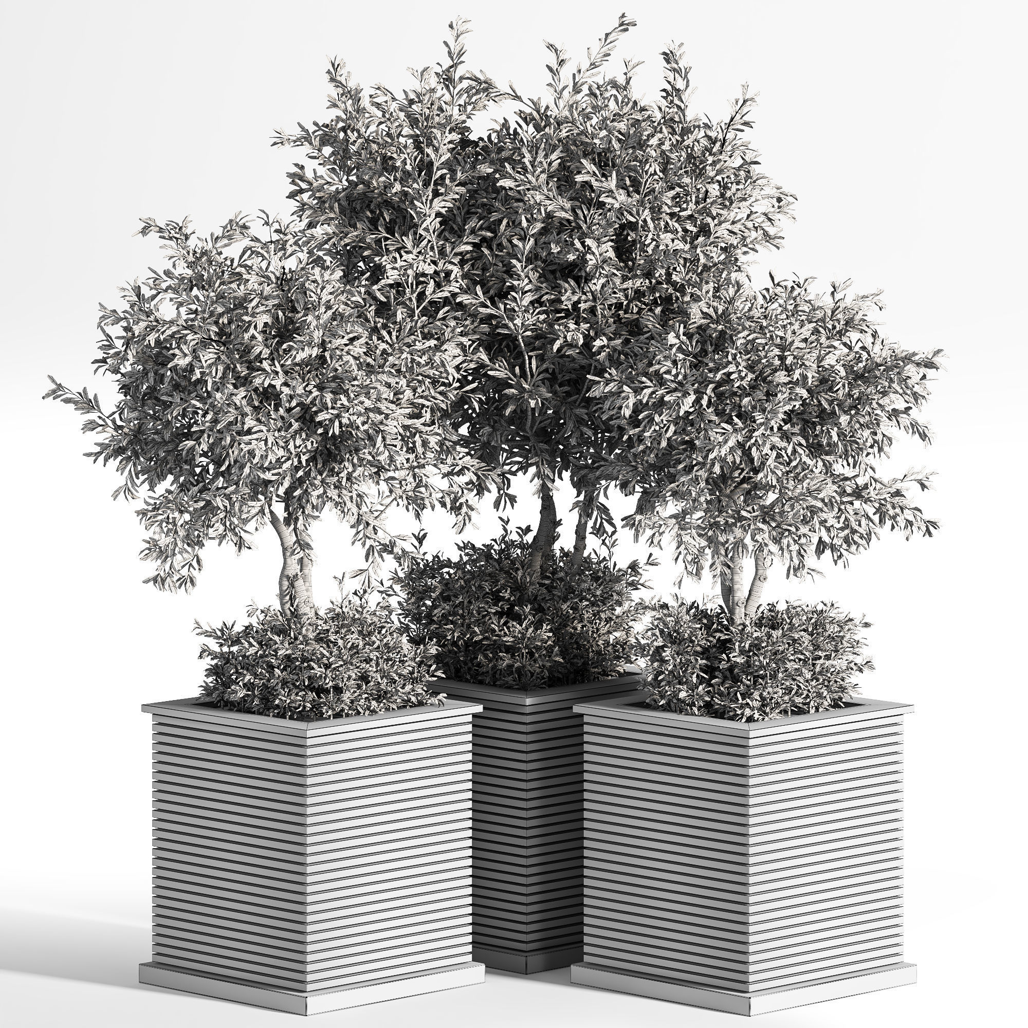 Outdoor Plants tree 10 3D model_5