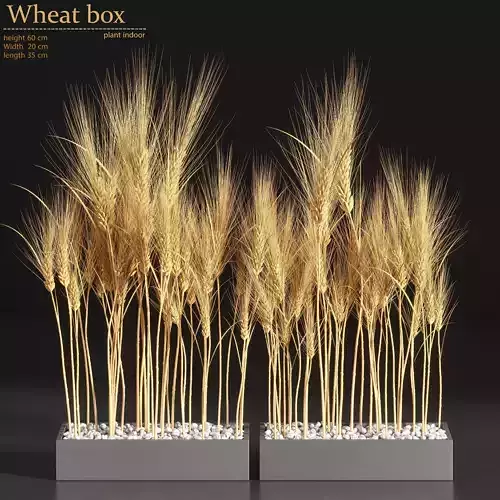 Wheat box
