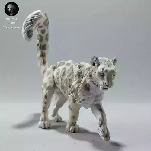 Snow Leopard