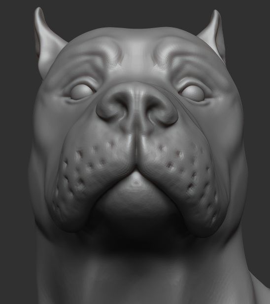 Dog figure 3D model_19
