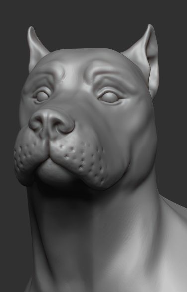 Dog figure 3D model_18