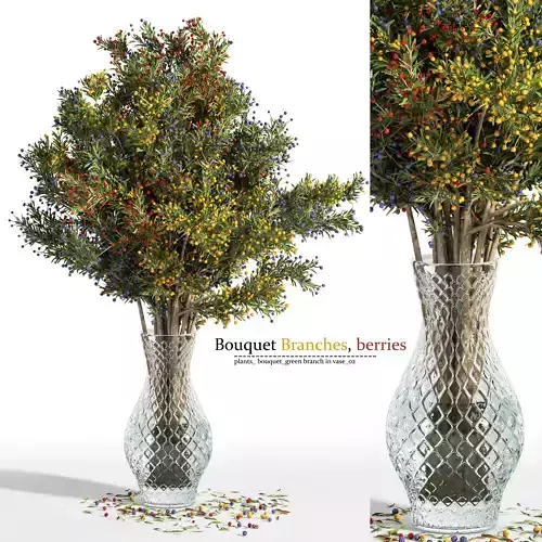 plants bouquet green branch in vase  Branches berries   02