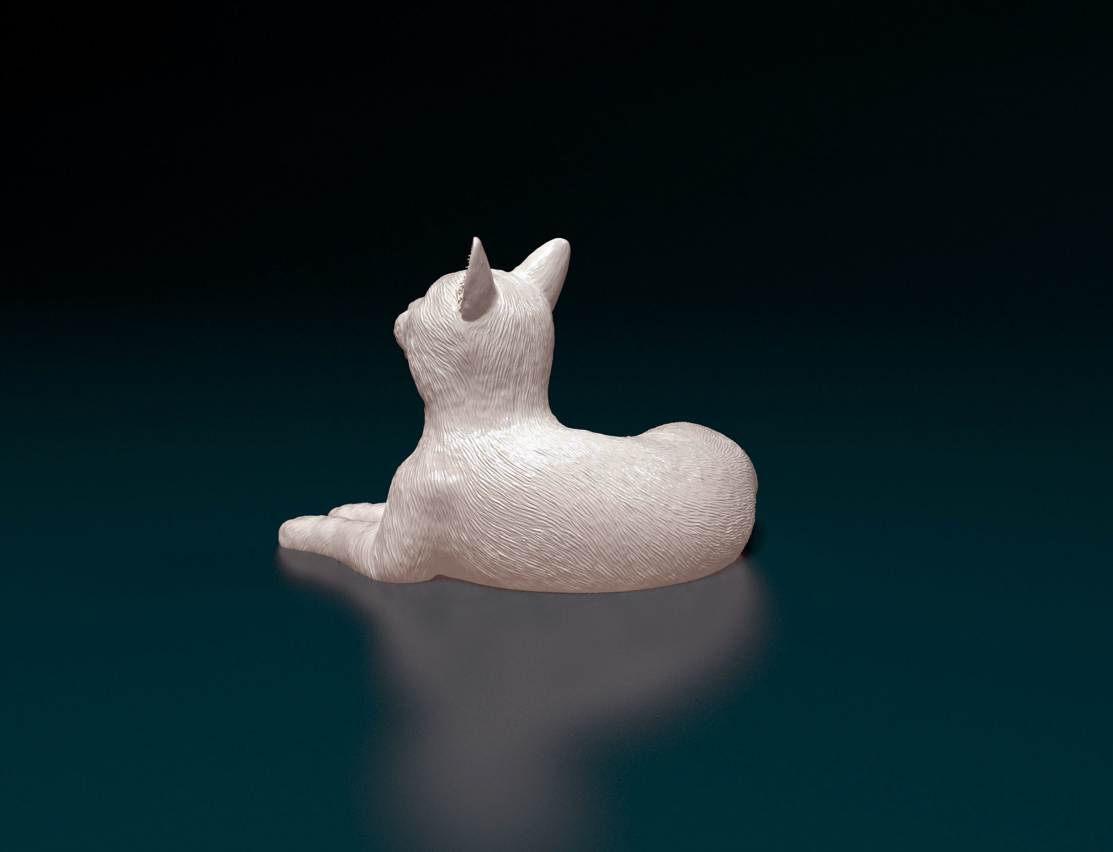 Cat lying down 3D print model_5