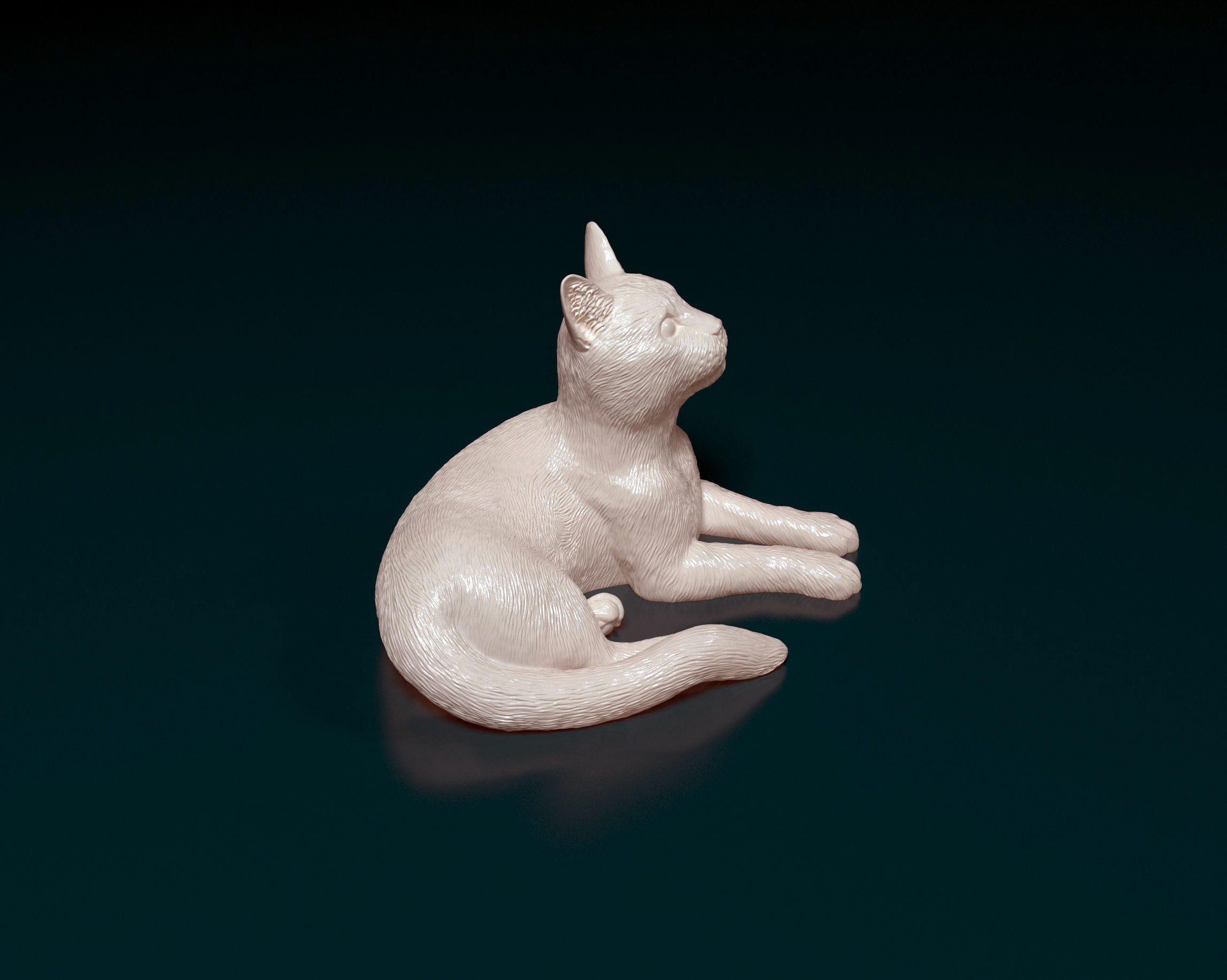 Cat lying down 3D print model_2