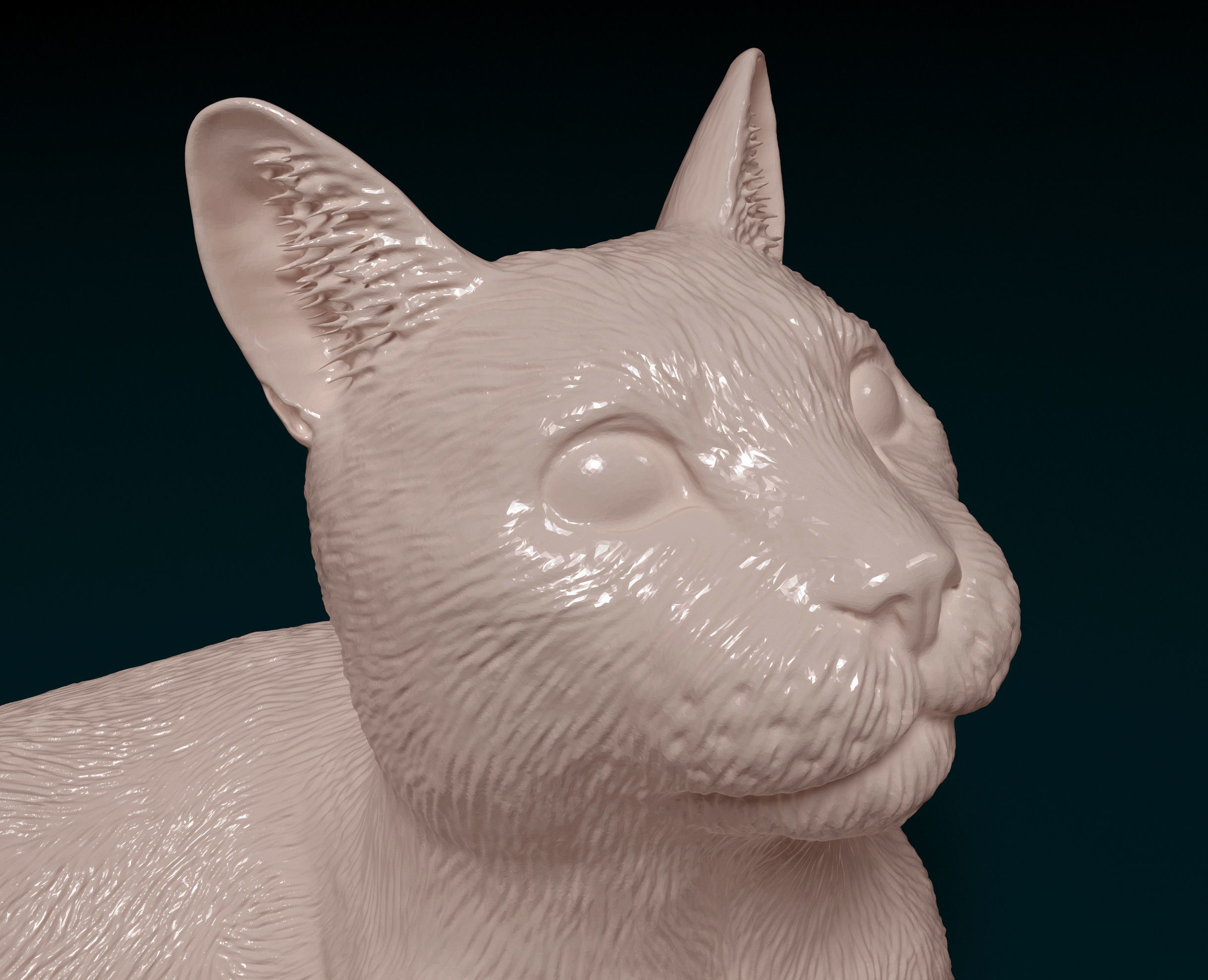 Cat lying down 3D print model_6