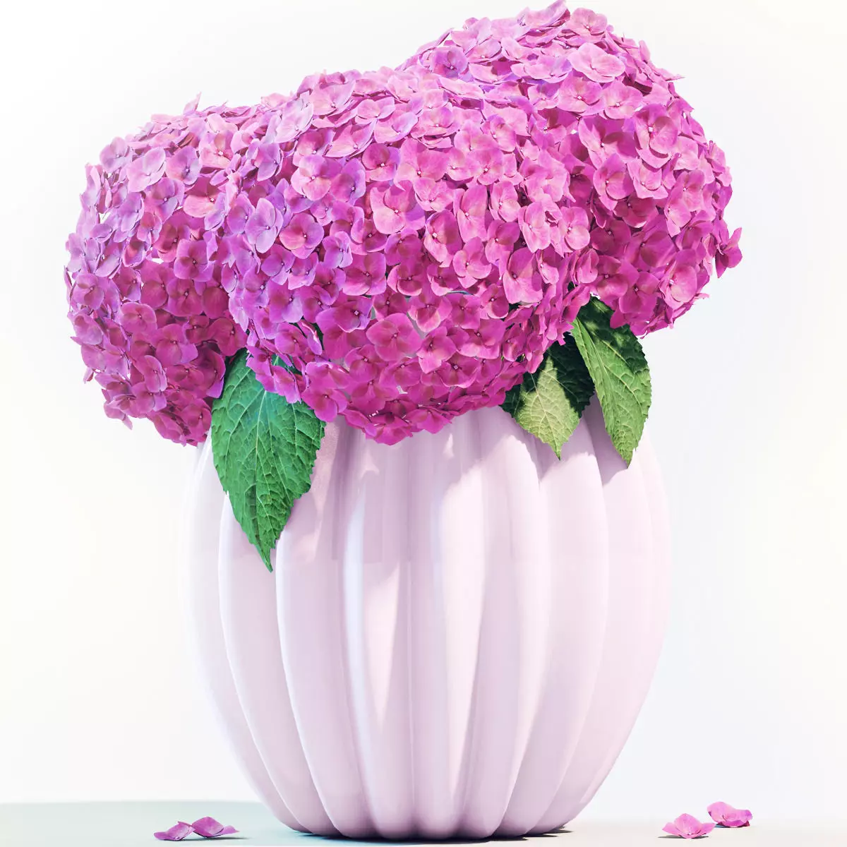 Flowers 4 hydrangeas in vase 3D model
