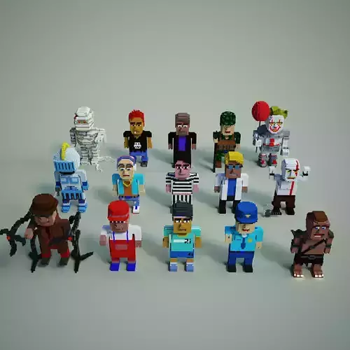 Unique Character Voxel