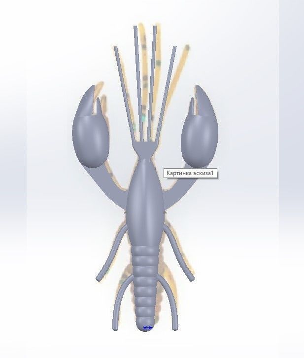Crayfish lobster Texture_2