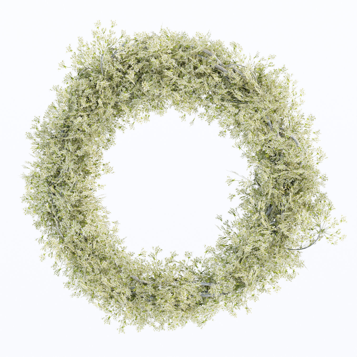 Foliage wreath collection vol 169 3D model_3