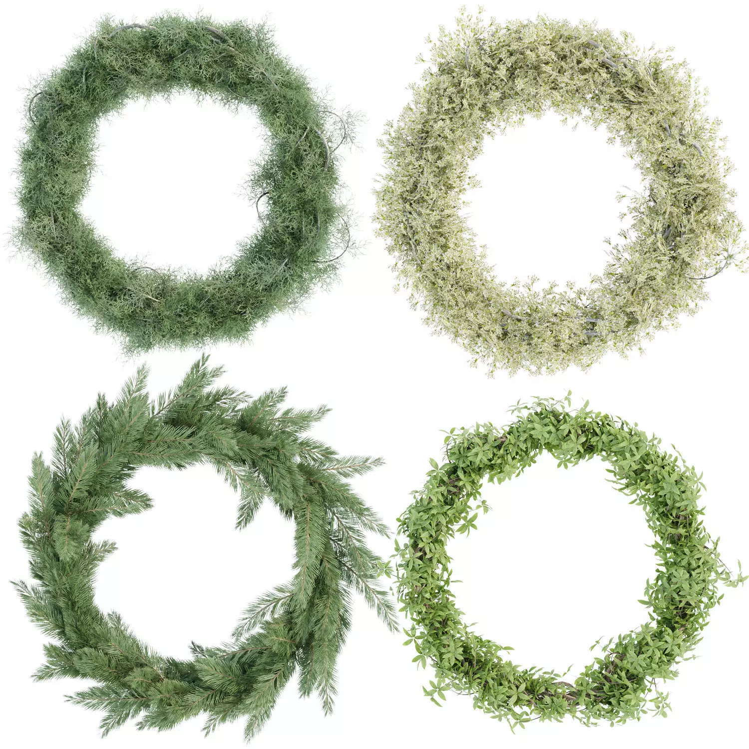 Foliage wreath collection vol 169 3D model_0