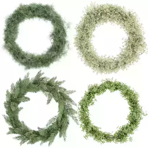 Foliage wreath collection vol 169 3D model