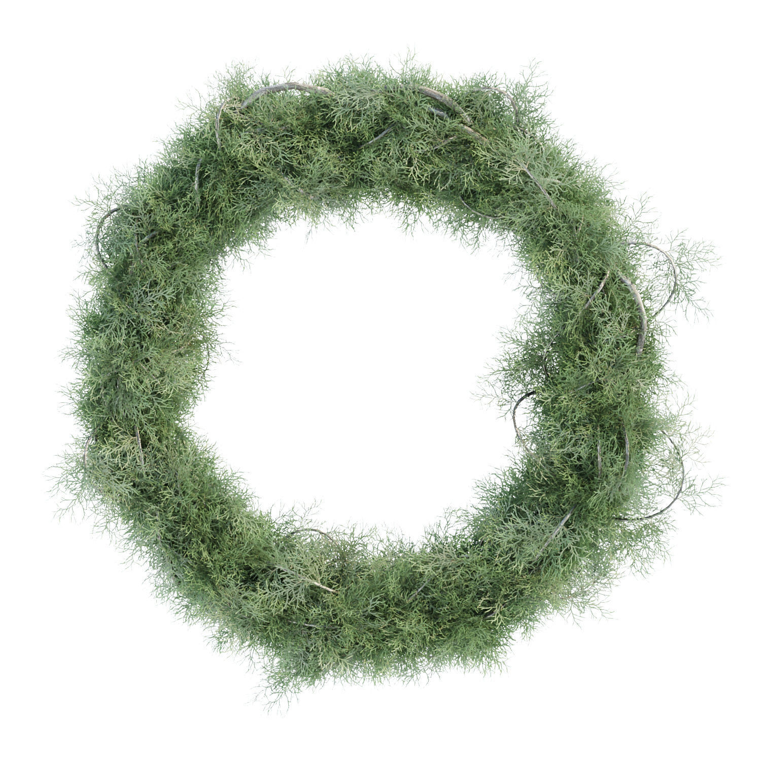 Foliage wreath collection vol 169 3D model_1