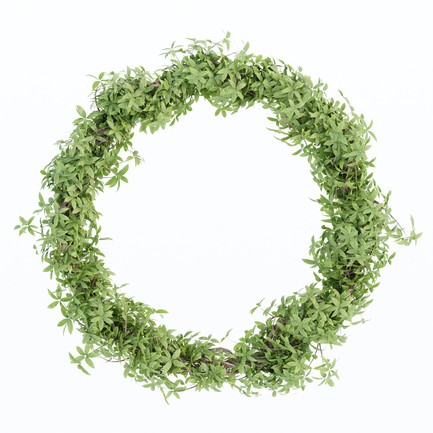 Foliage wreath collection vol 169 3D model_4