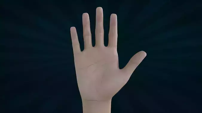 HAND-044 Counting Animation