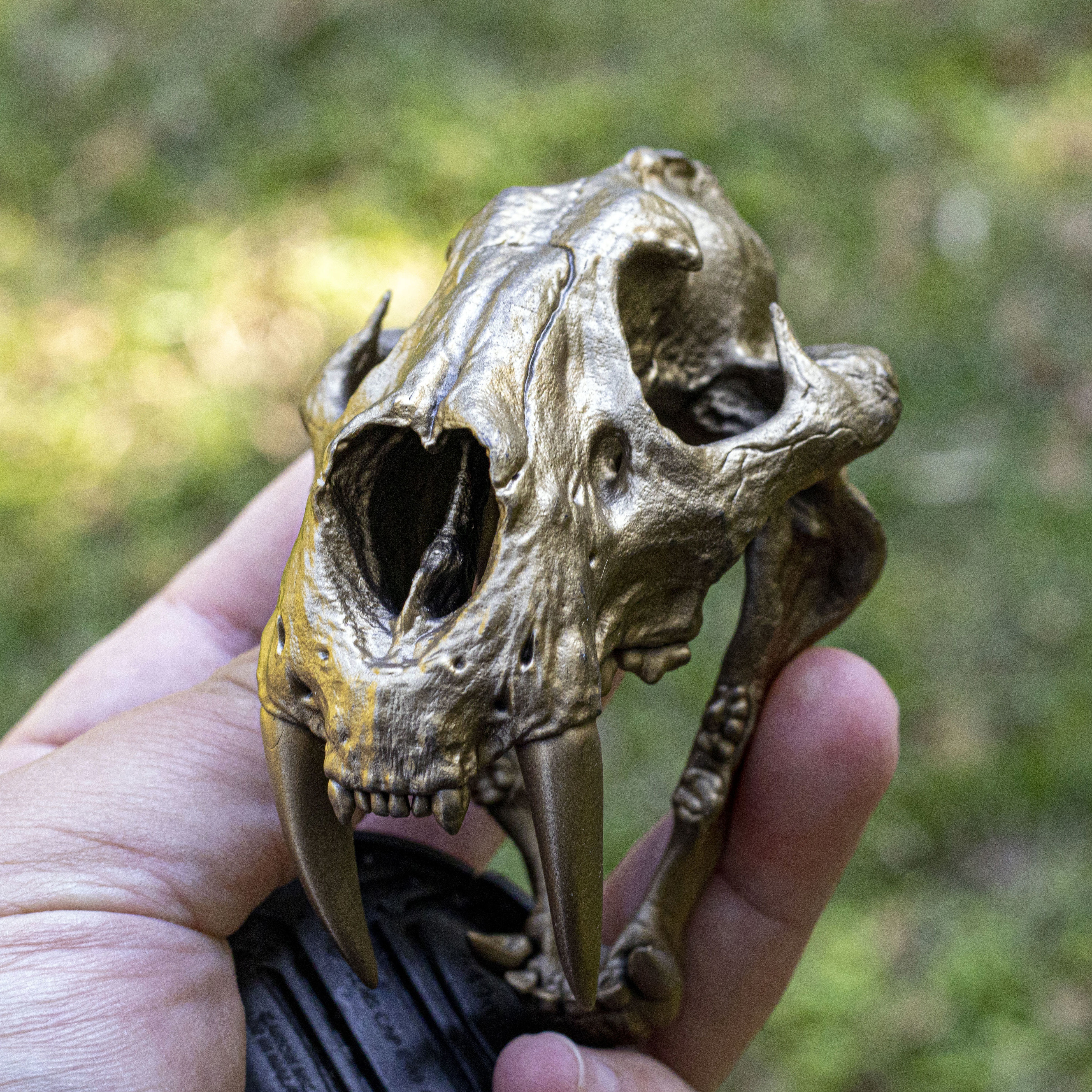 Sabertooth Skull 3D print model_1