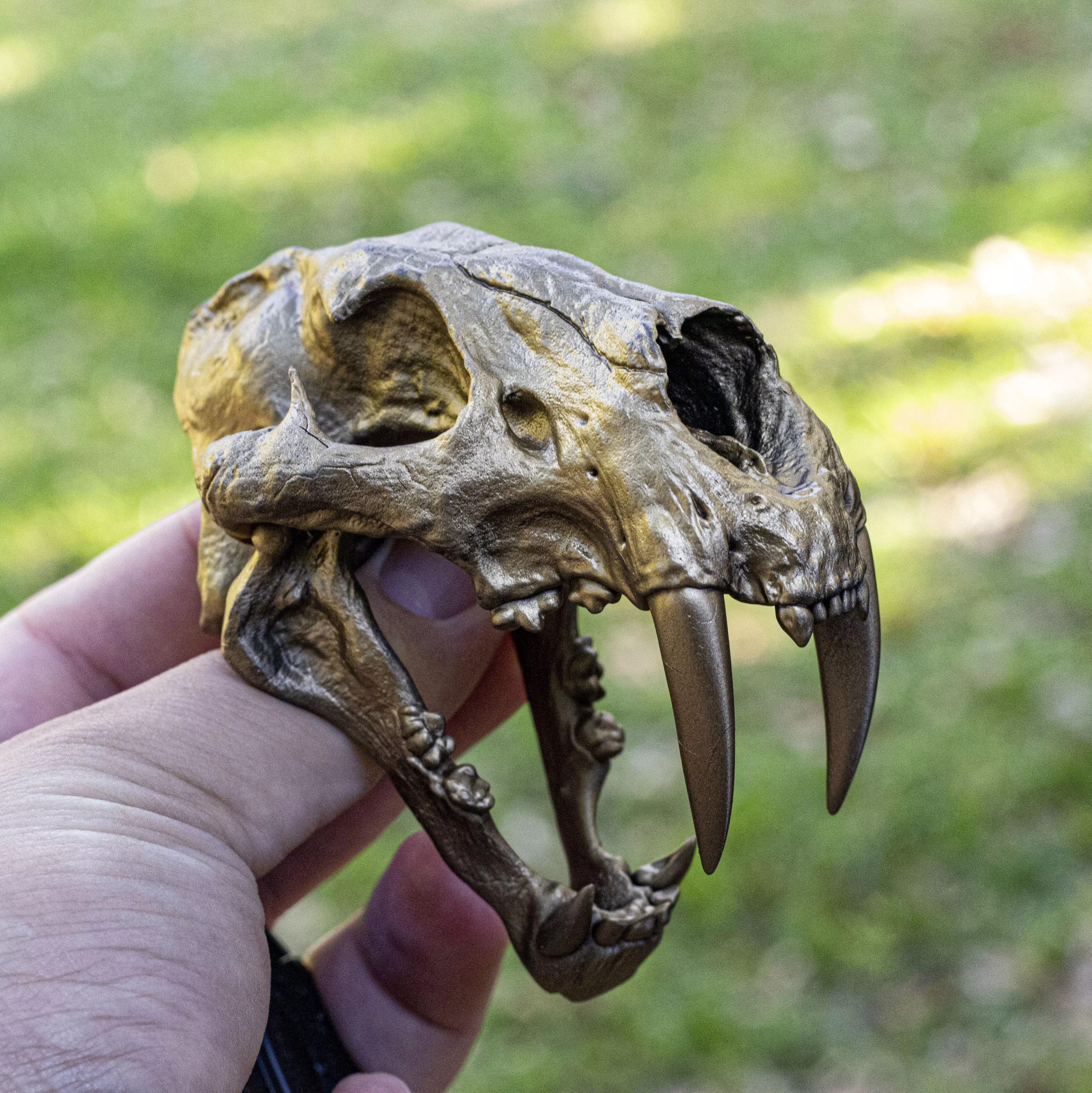 Sabertooth Skull 3D print model_0