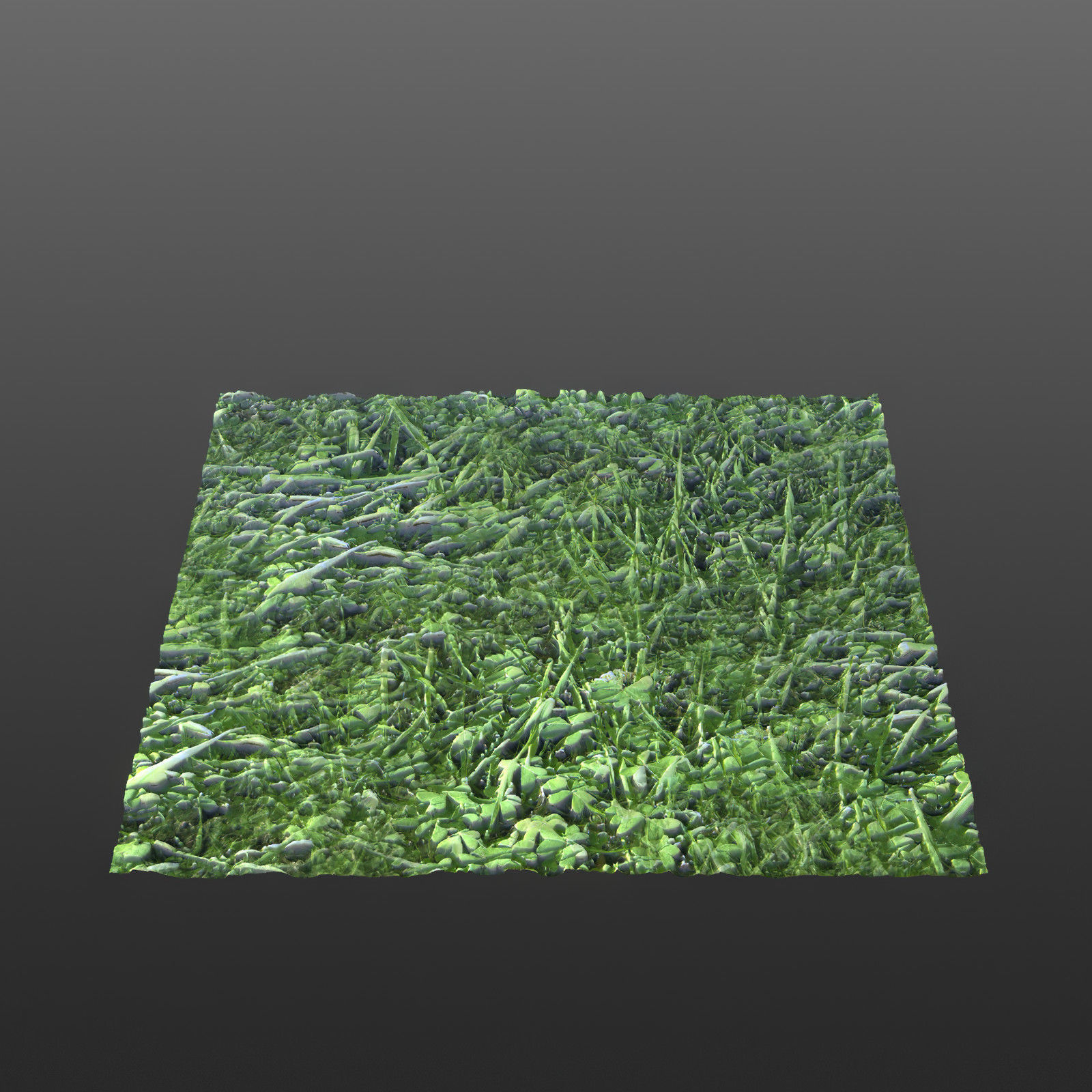 Wild Earth Volume 1 Texture_3