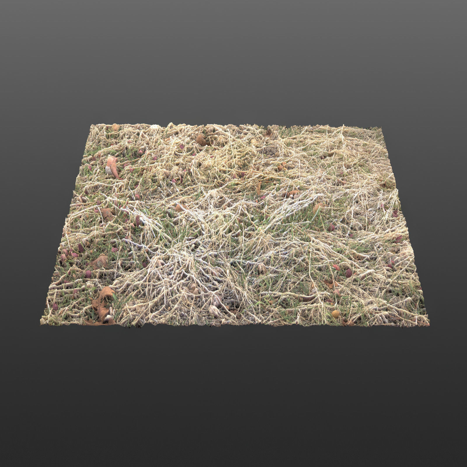 Wild Earth Volume 1 Texture_1