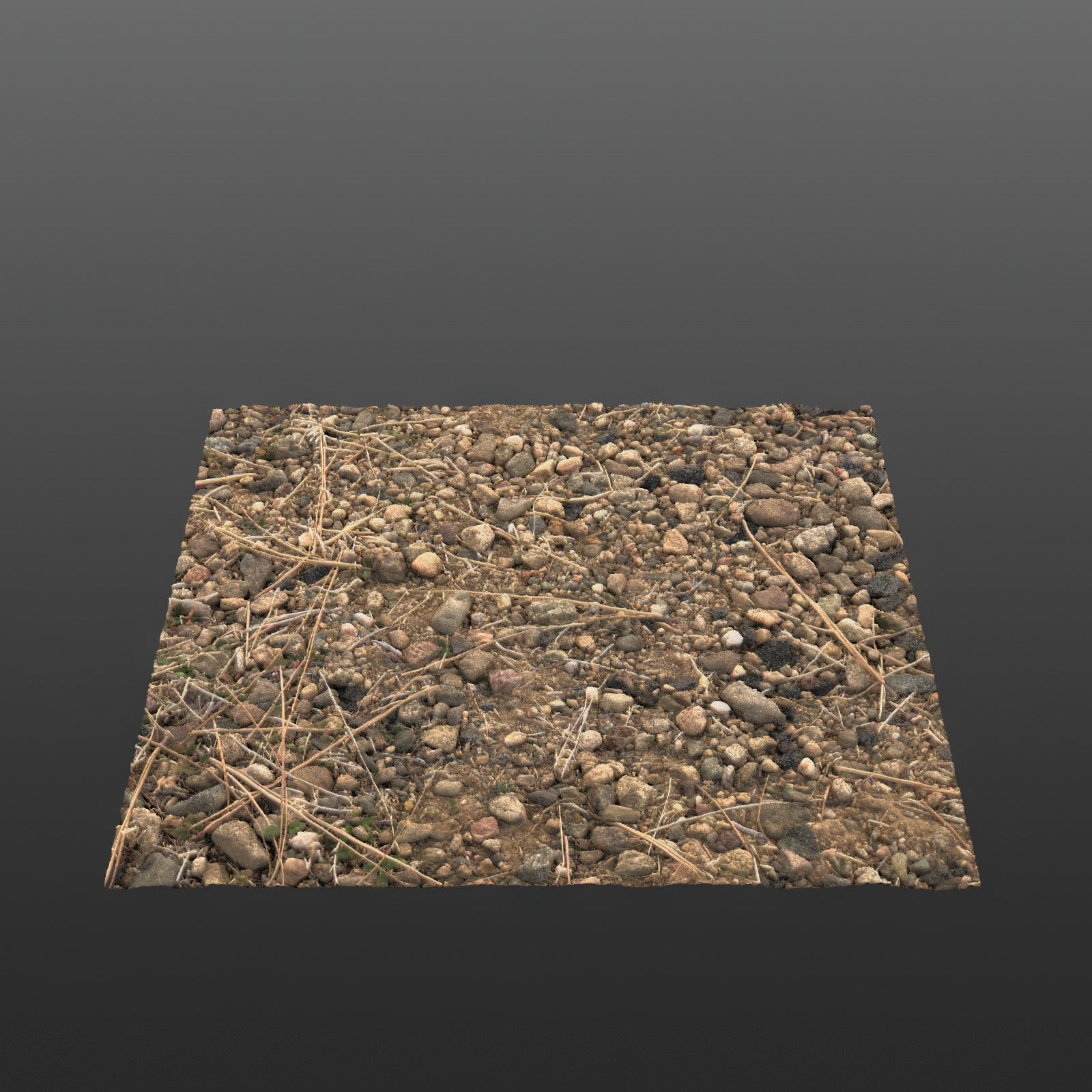 Wild Earth Volume 1 Texture_4