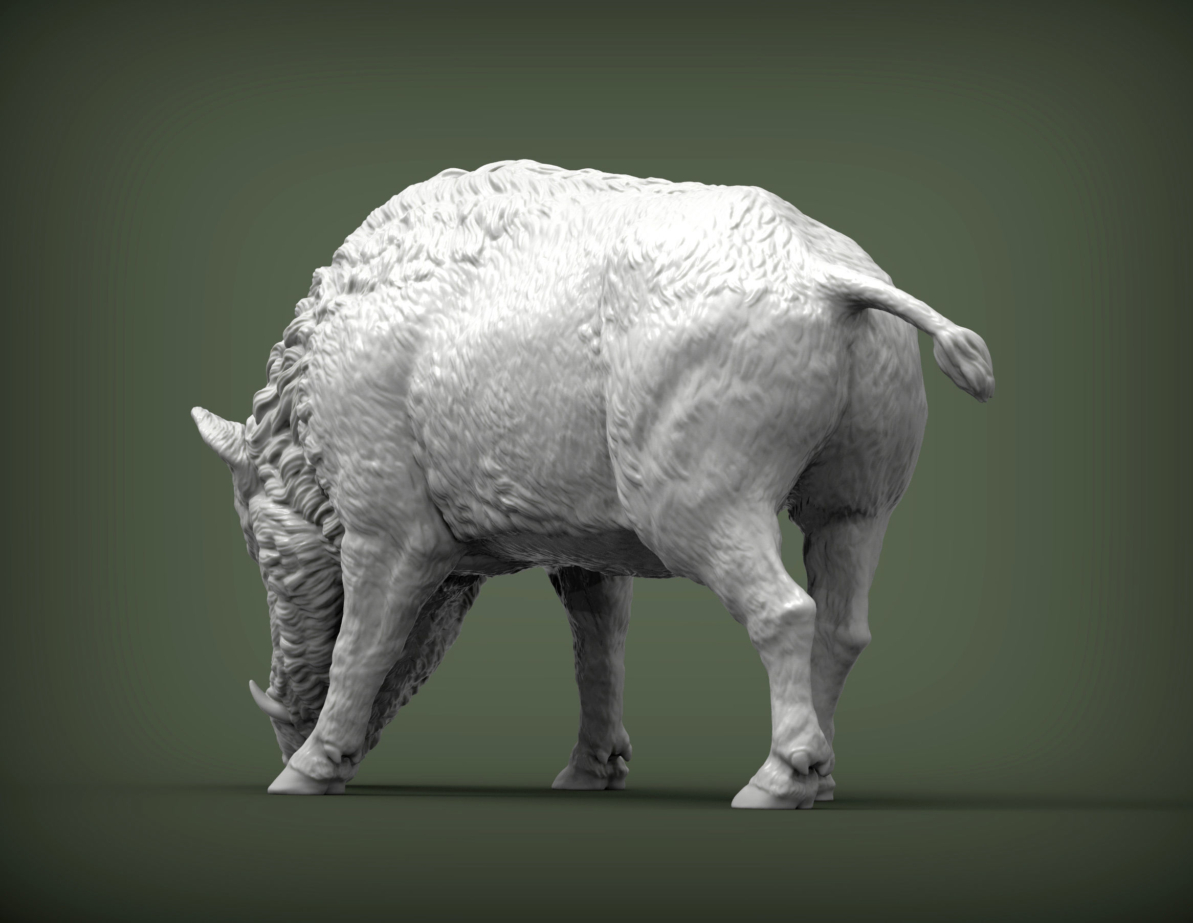 Boar 3D print model wild 3D print model_3