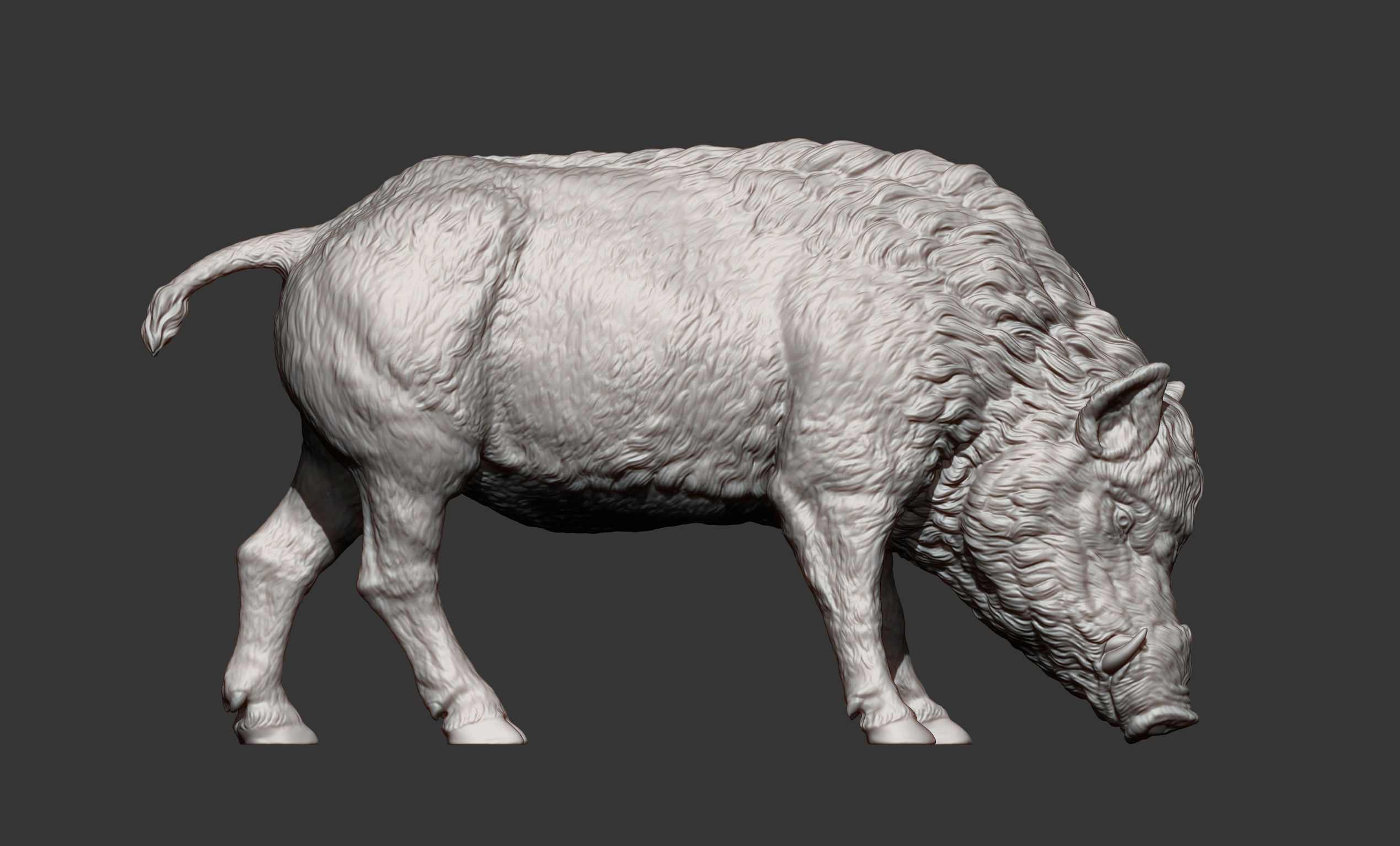 Boar 3D print model wild 3D print model_7