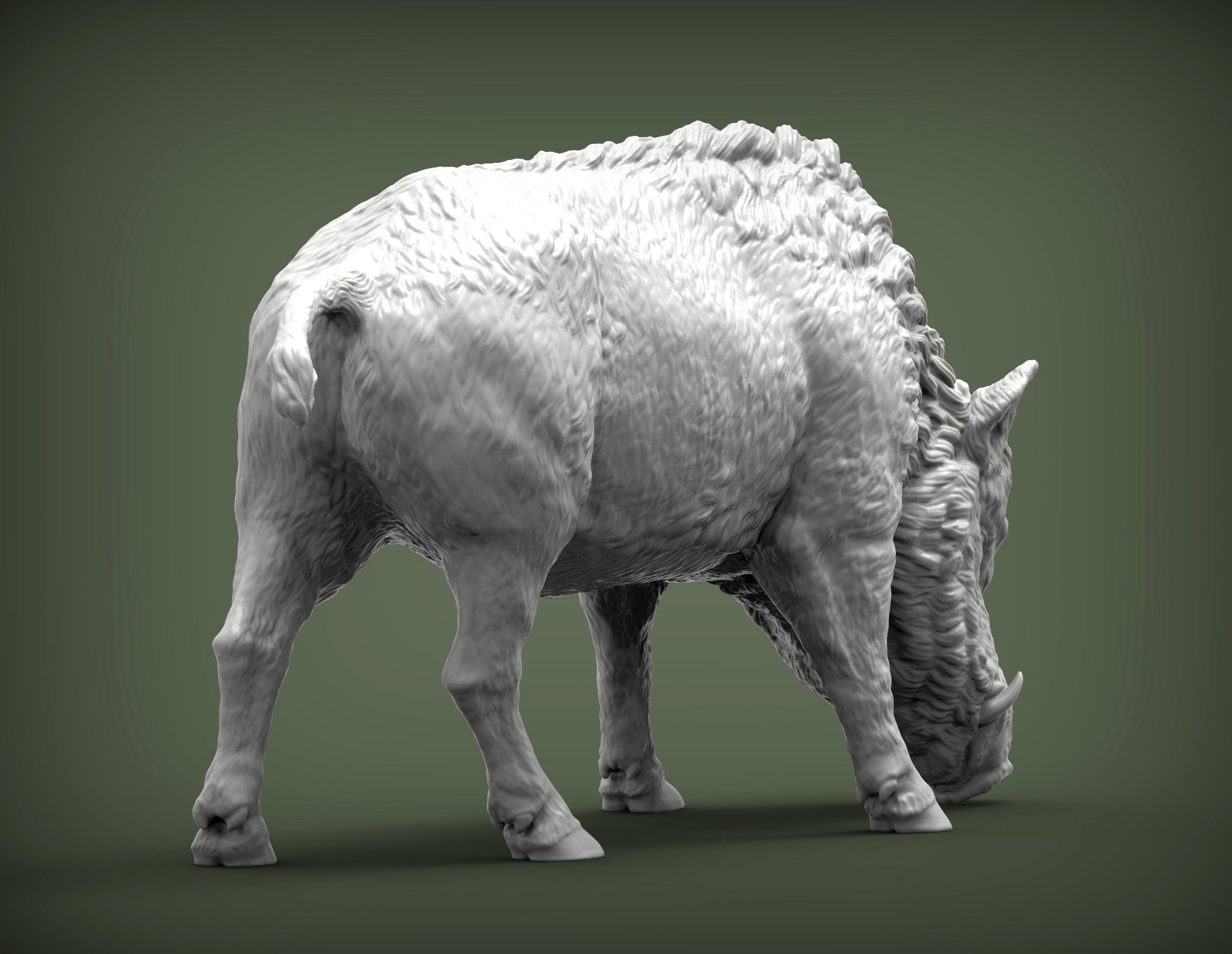 Boar 3D print model wild 3D print model_6