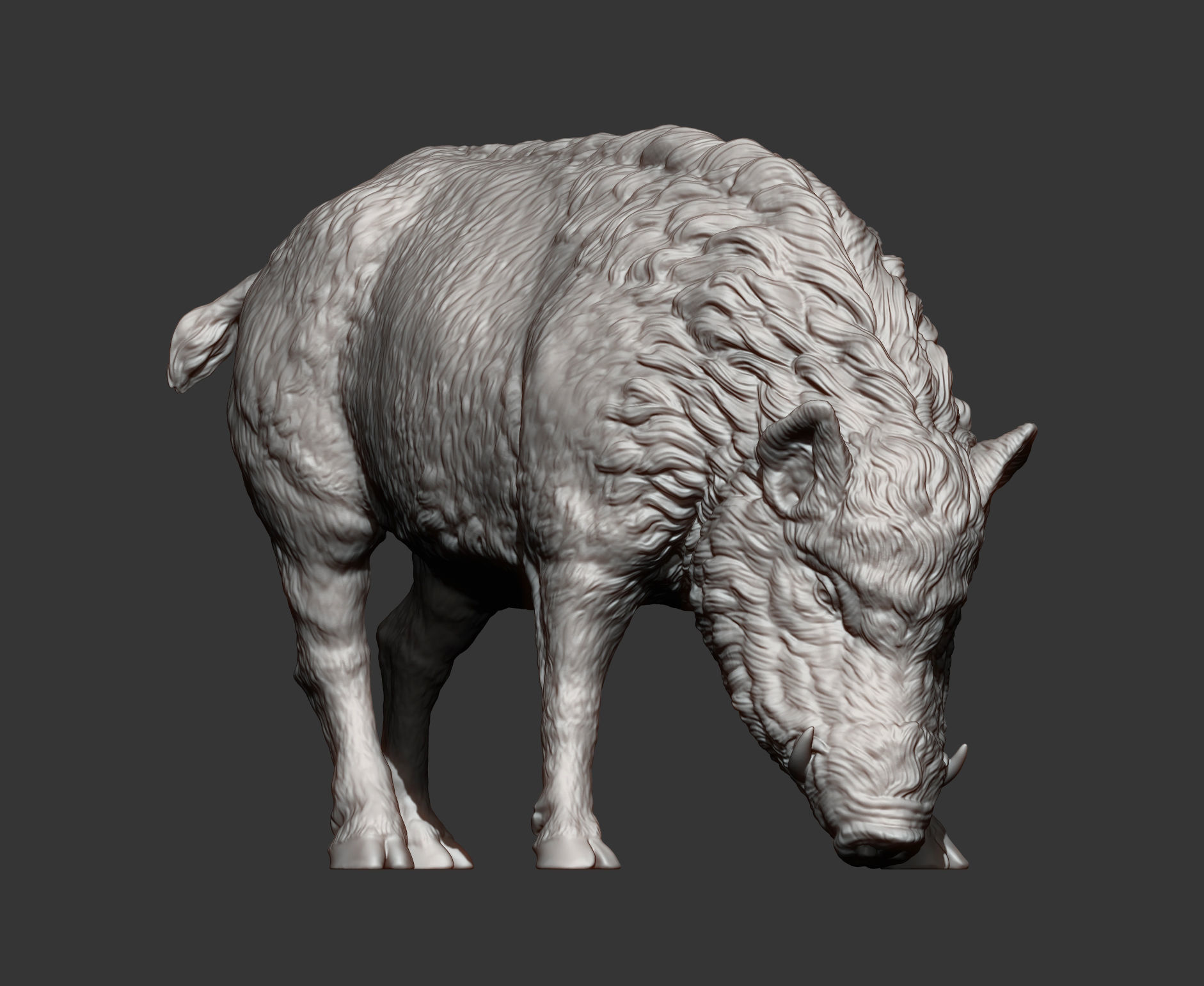Boar 3D print model wild 3D print model_9