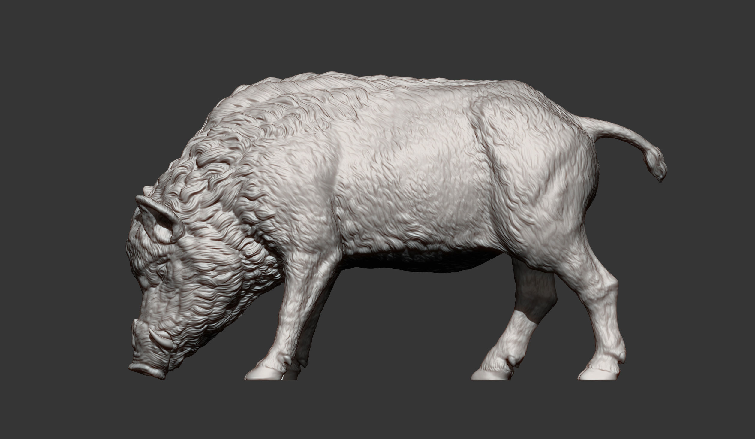 Boar 3D print model wild 3D print model_11