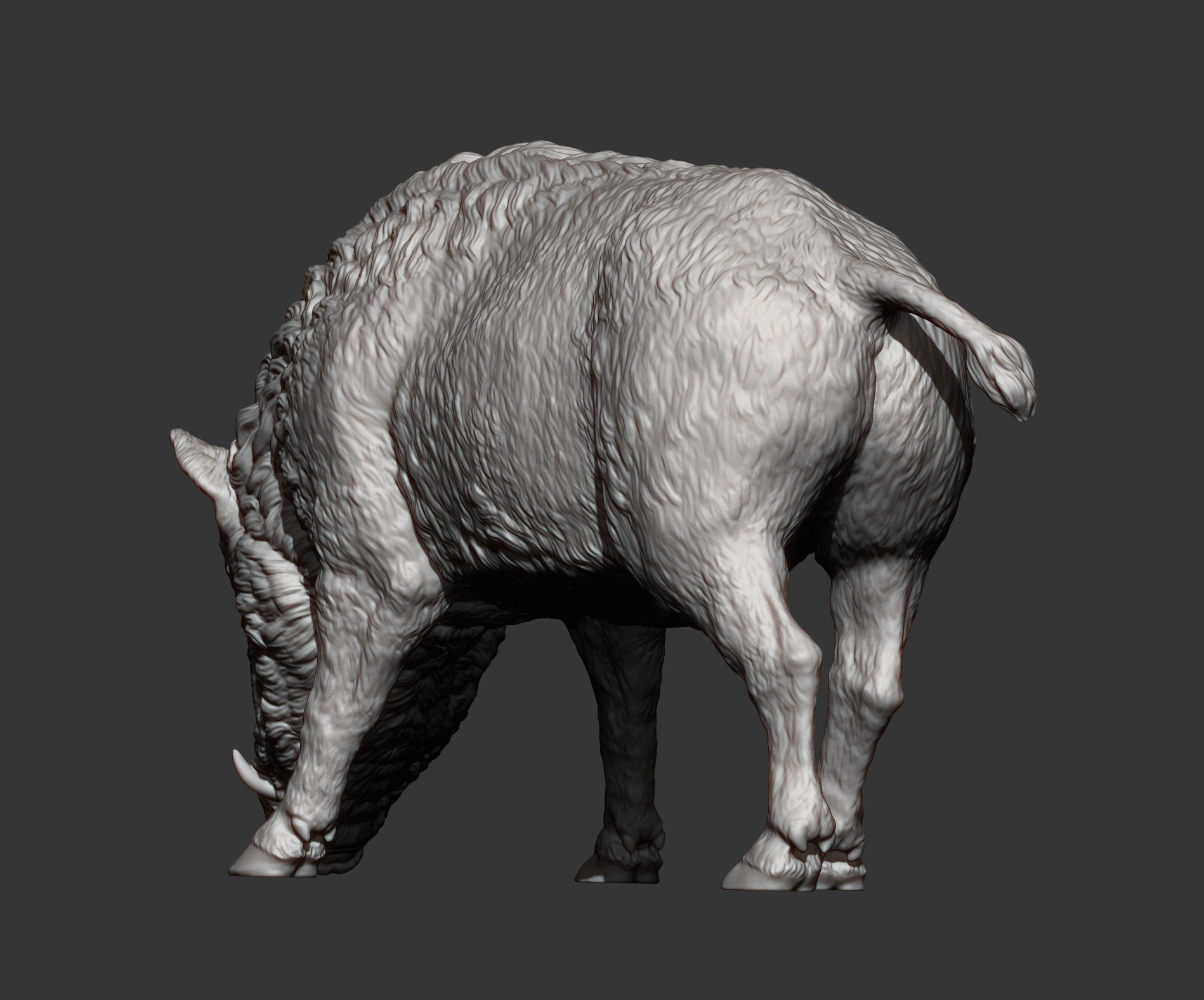 Boar 3D print model wild 3D print model_10