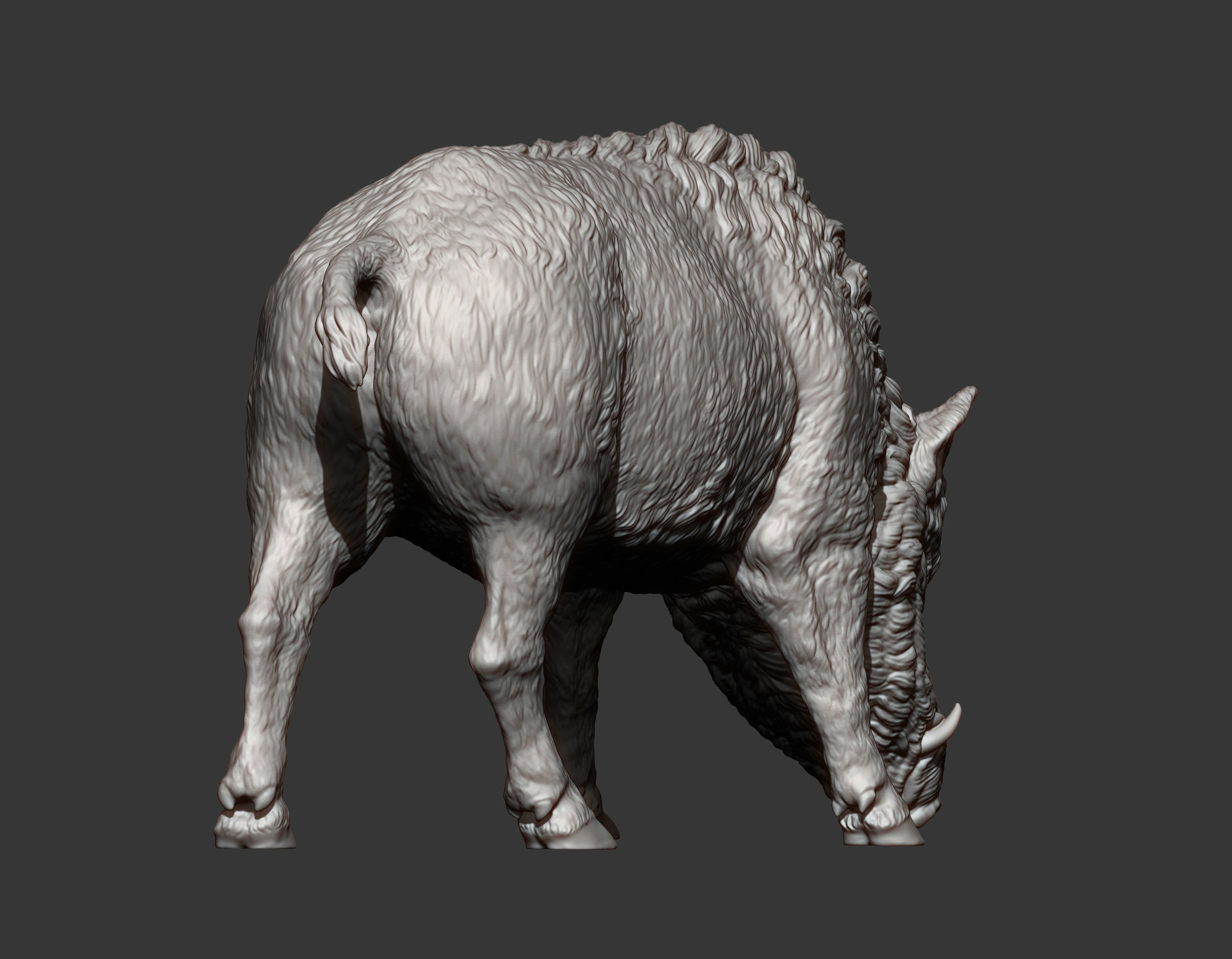 Boar 3D print model wild 3D print model_12