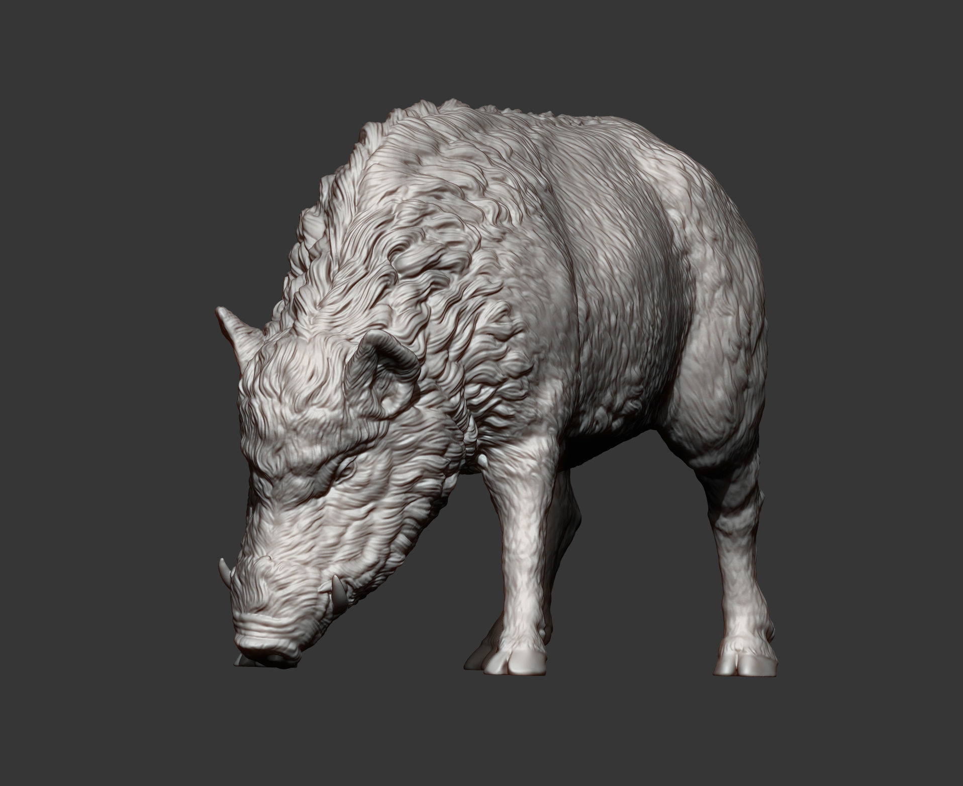 Boar 3D print model wild 3D print model_13