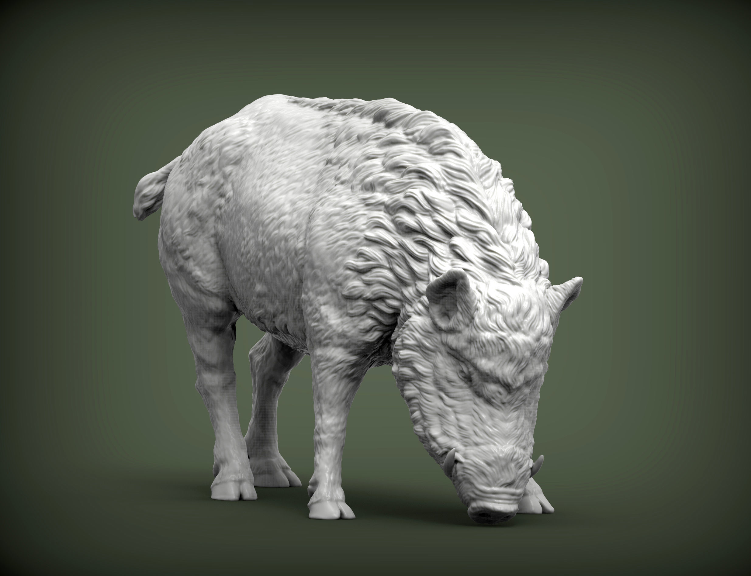 Boar 3D print model wild 3D print model_5