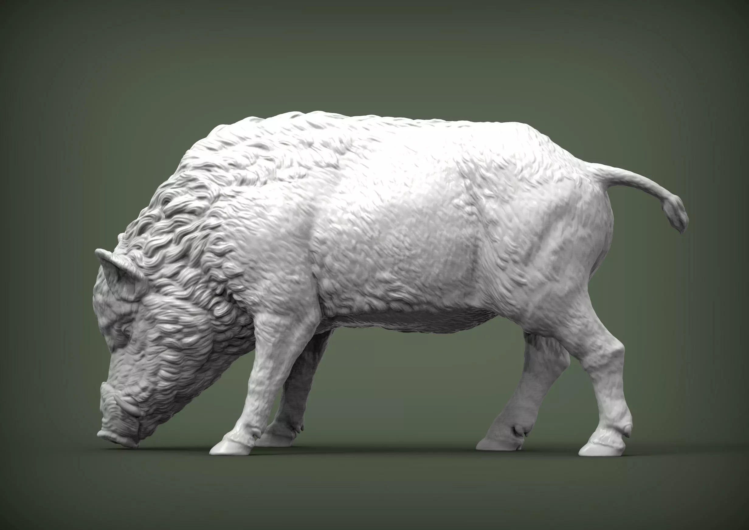 Boar 3D print model wild 3D print model_0