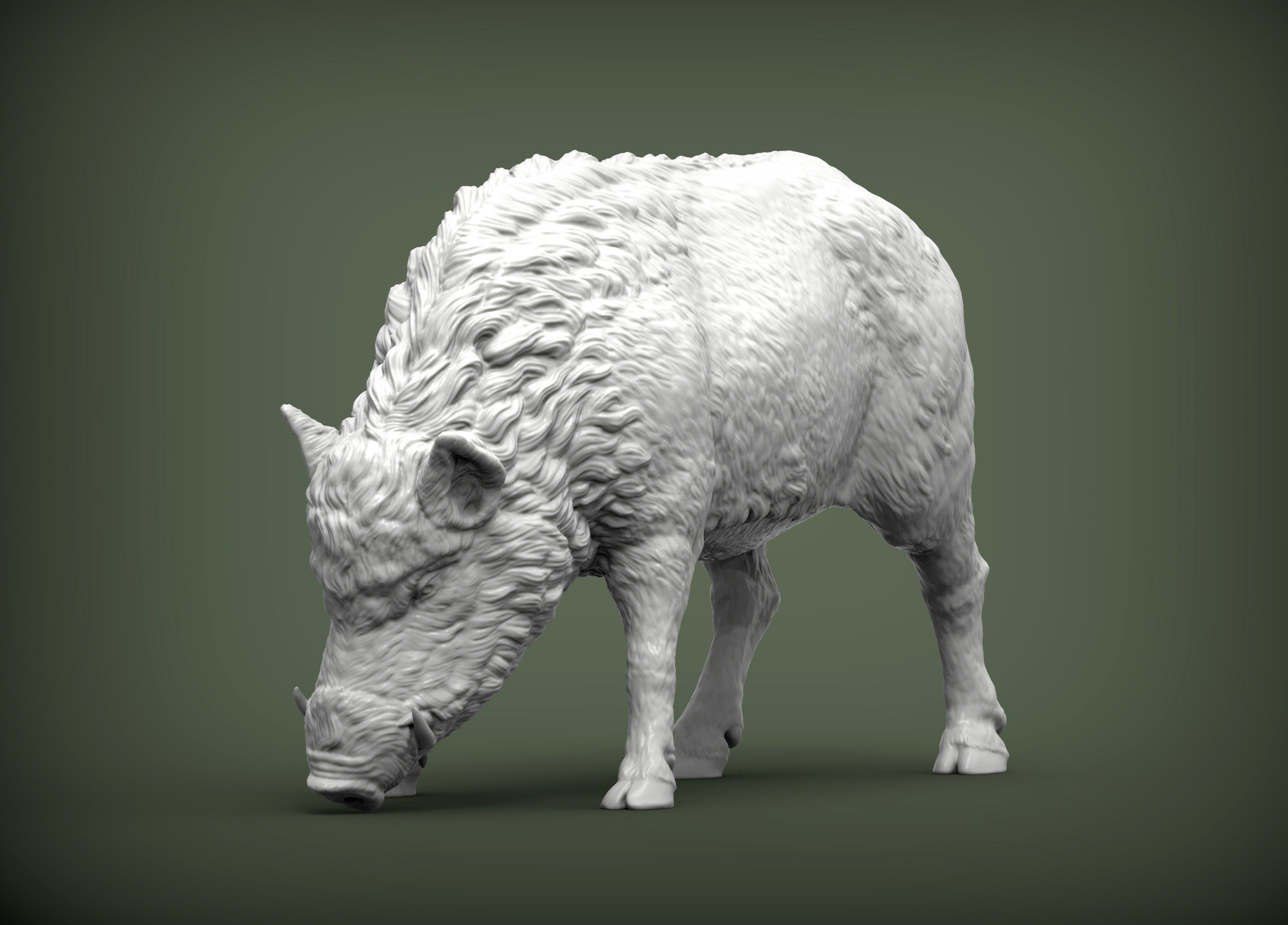 Boar 3D print model wild 3D print model_2