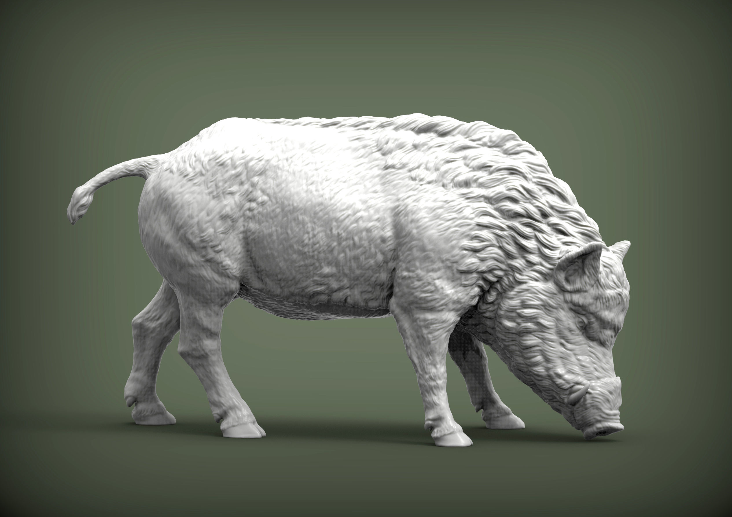 Boar 3D print model wild 3D print model_4