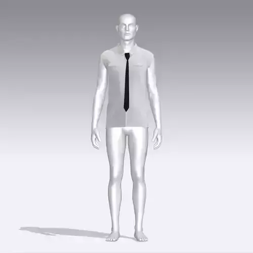 Shirt mannequin with and tie