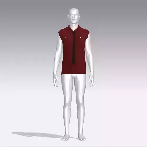 Shirt mannequin wearing and tie