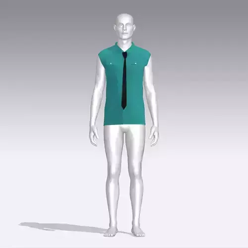 Shirt mannequin wearing and tie