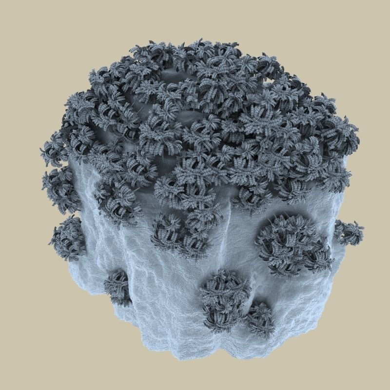 Thailand Rock 1 3D model_5