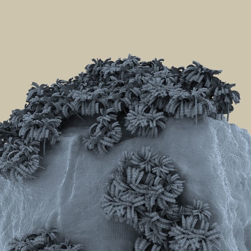 Thailand Rock 1 3D model_7