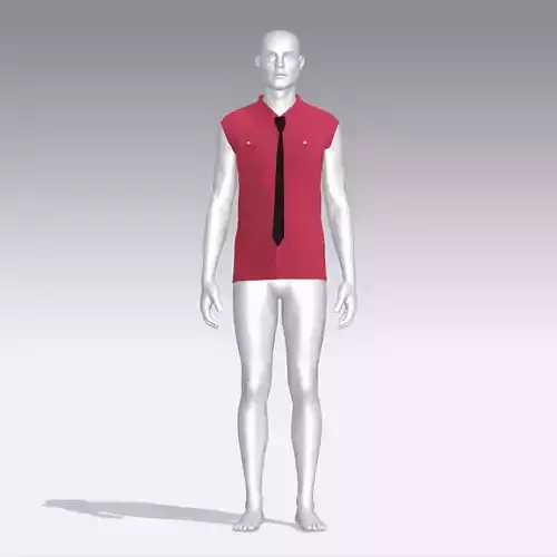 Shirt mannequin wearing and tie