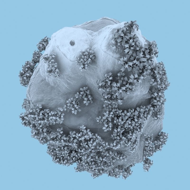 Thailand Rock 2 3D model_8