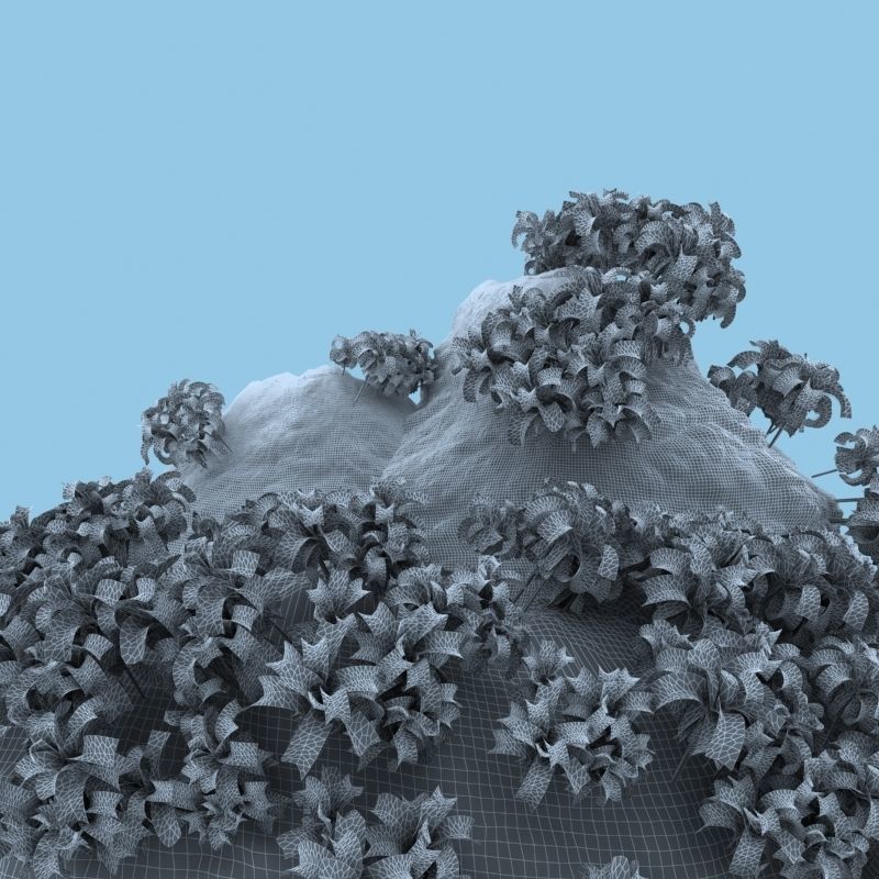 Thailand Rock 2 3D model_6