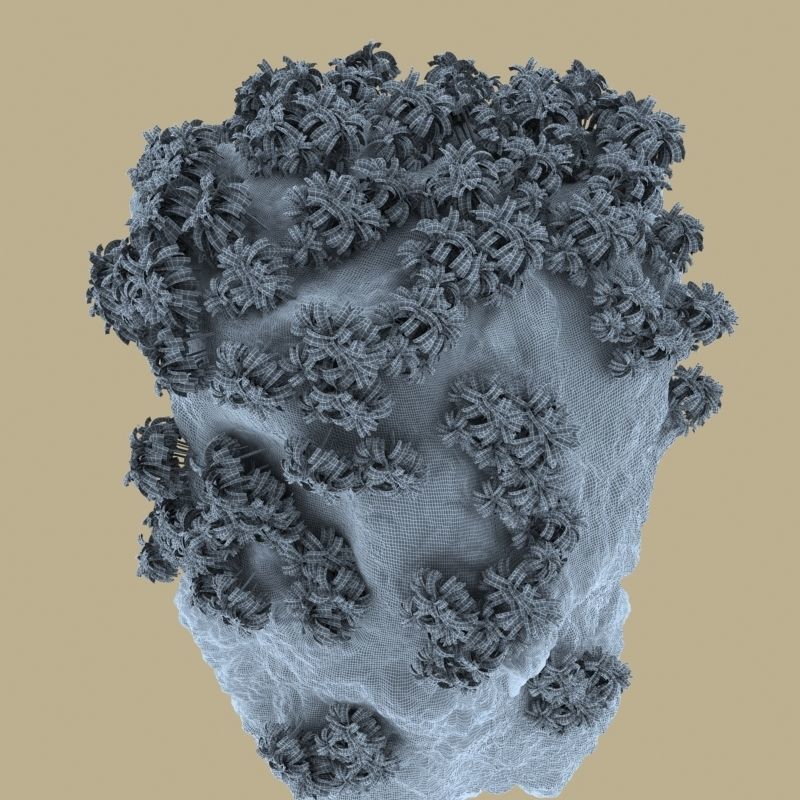 Thailand Rock 5 3D model_4