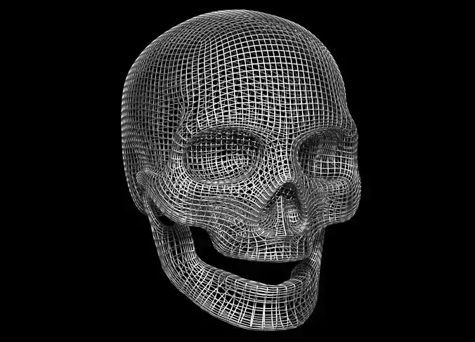 Skull Wire 3D model