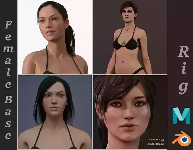 Female Base rig Pack 3D Model Collection